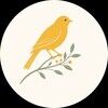 canaryfinds